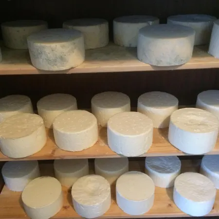 بيت شباب Cesta طابور